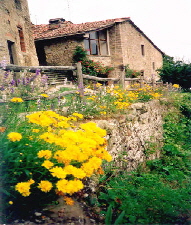 Flowers, forest, farms and medieval houses -- Janilee's Tuscan Villa, north of Florence, Italy.