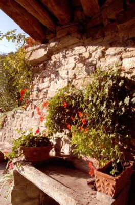 Basin with flowers
