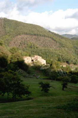 Incisa at a distance vertical