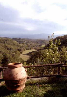 View vertical